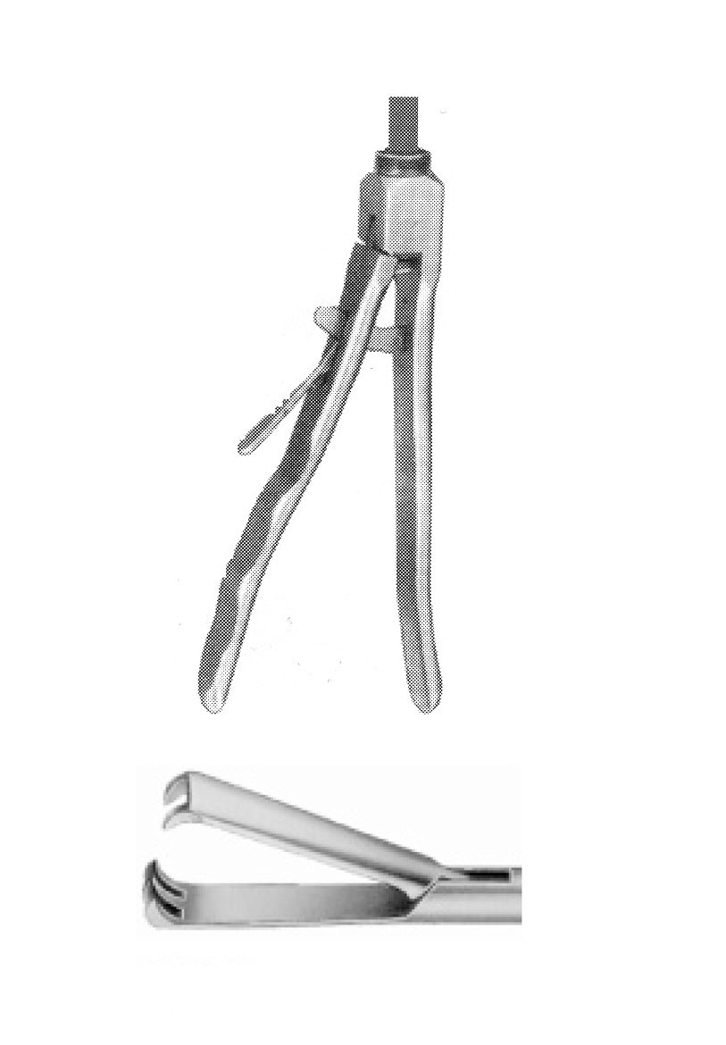 KISKAÇ AĞIZLI FORSEPS ÇAP  10 MM